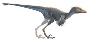 Feathered Dinosaur