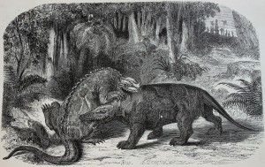 Original Iguanodon vs Megalosaurus