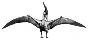 Pterosaur Bipedal