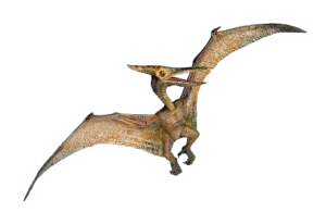 Transparent Pterodactyl