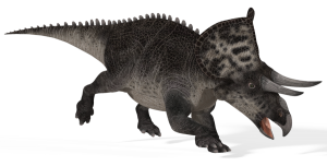 Transparent Zuniceratops