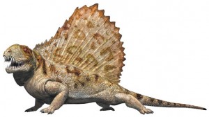 dimetrodon