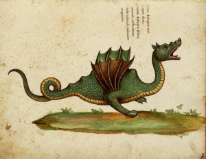 Aldrovandus' Winged Dragon of Ethiopia3
