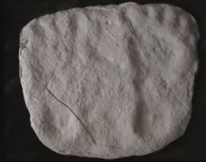 Berean Human Footprints