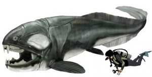 Dunkleosteus & scuba man