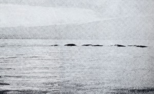 Ed Fletcher 1976 sighting higher resolution
