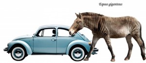 Equus giganteus2