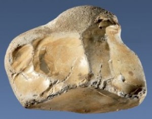 Flint Hammer Tool Flint Tool
