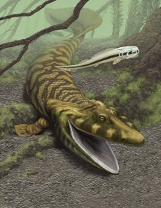 Tiktaalik