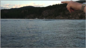 Ogopogo Sighting