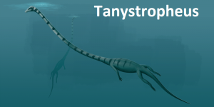 tanystropheus