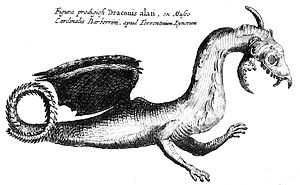 Athanasius Kircher Flying Draconis