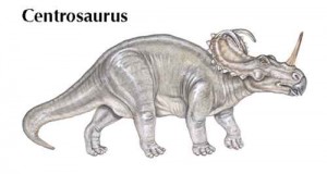 Centrosaurus