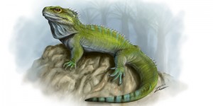 Clevosaurus Image