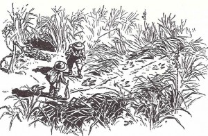 Fawcett Sketch of Footprints in Amazon