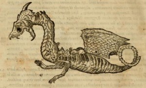 Johannes Faber 1651 Decaying Dragon2