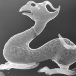 Beaked Dragon X-Ray