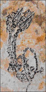Diplodocus