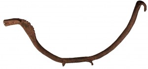 Bambara Sauropod