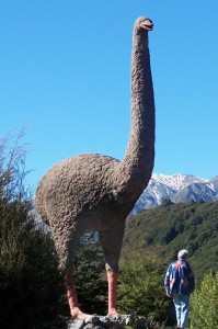 Giant Moa