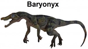 Baryonyx Walkeri Clean3