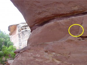 Natural Bridges Dinosaur Location
