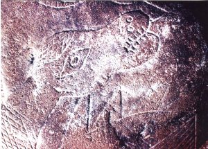 A Photo of the Head of the Dinosaurian Figure on the Museum Stone Showing Extensive Patina Buildup rio-grand-palpa-stone-closeup-of-head