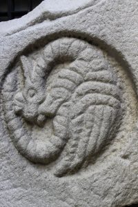 Coiled Baby Dragon